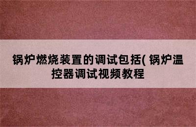 锅炉燃烧装置的调试包括( 锅炉温控器调试视频教程